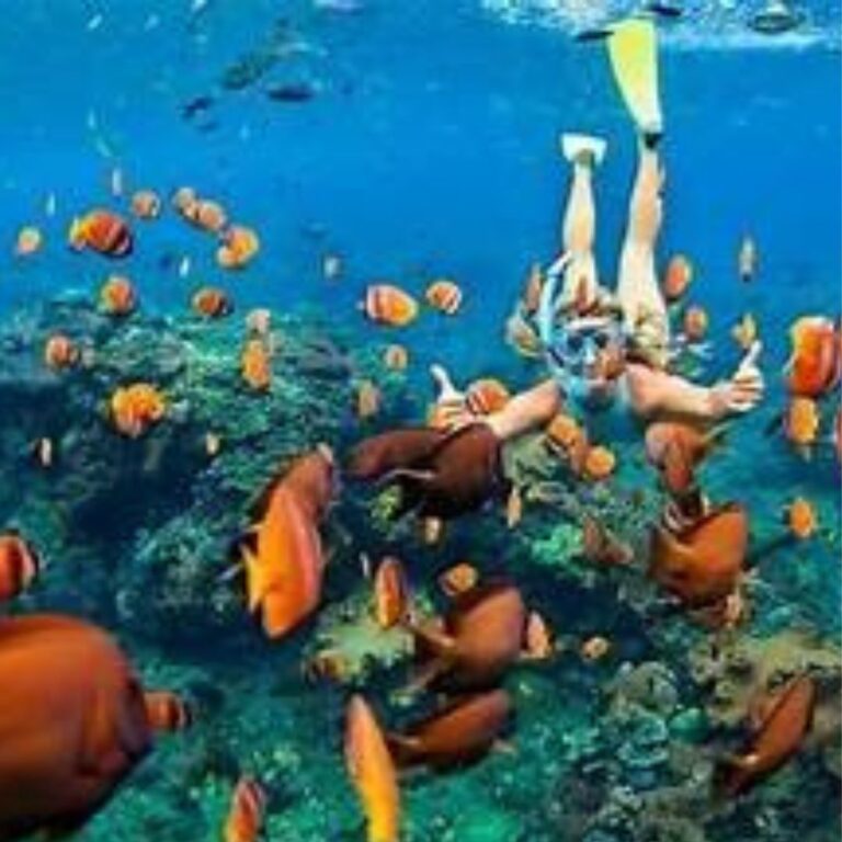 PAKET WISATA SNORKELING GILI KONDO LOMBOK | Laut jernih dan pulau exsotis