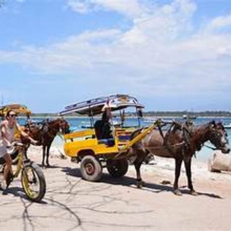 PAKET WISATA SNORKELING GILI TRAWANGAN | CahayaWisata